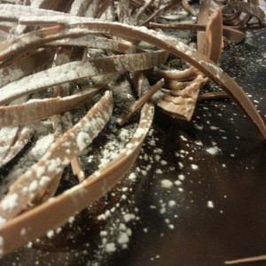 Terre-di-eno-torte16