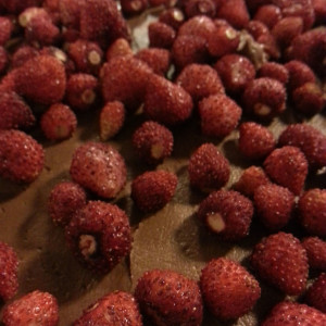 Terre-di-eno-torte21