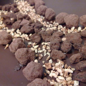 Terre-di-eno-torte36