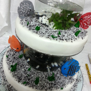 Terre-di-eno-torte58